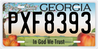 GA license plate PXF8393