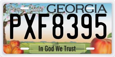 GA license plate PXF8395