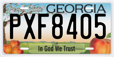 GA license plate PXF8405