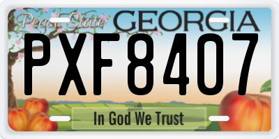 GA license plate PXF8407