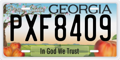 GA license plate PXF8409