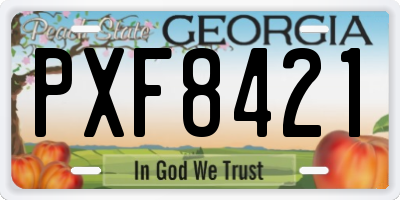 GA license plate PXF8421