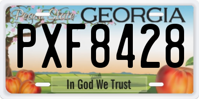 GA license plate PXF8428