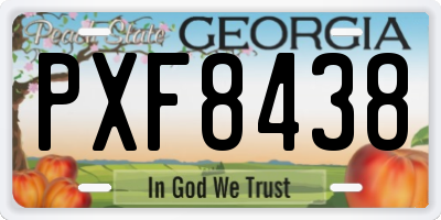GA license plate PXF8438