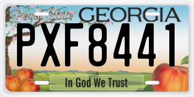 GA license plate PXF8441