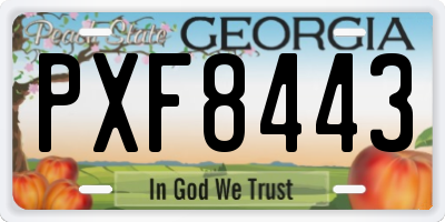 GA license plate PXF8443