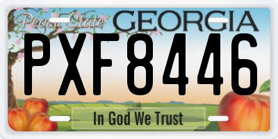 GA license plate PXF8446