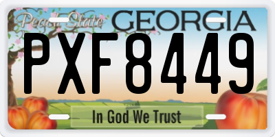 GA license plate PXF8449