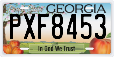 GA license plate PXF8453