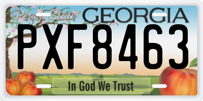 GA license plate PXF8463