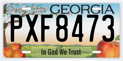 GA license plate PXF8473