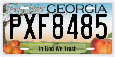 GA license plate PXF8485