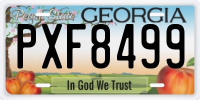 GA license plate PXF8499