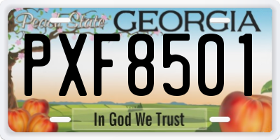 GA license plate PXF8501