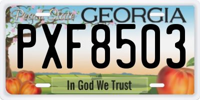 GA license plate PXF8503