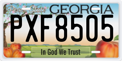GA license plate PXF8505