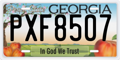 GA license plate PXF8507