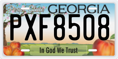 GA license plate PXF8508