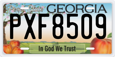 GA license plate PXF8509