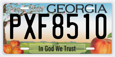 GA license plate PXF8510