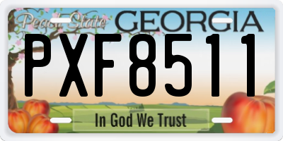 GA license plate PXF8511