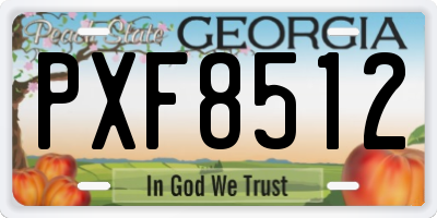 GA license plate PXF8512