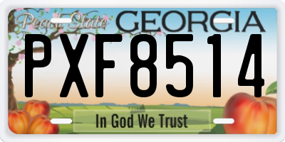 GA license plate PXF8514
