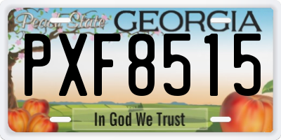 GA license plate PXF8515