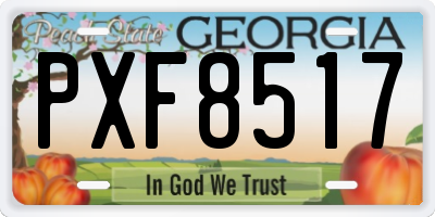 GA license plate PXF8517