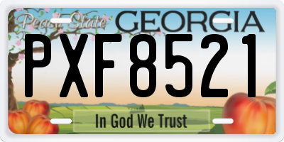 GA license plate PXF8521