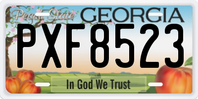 GA license plate PXF8523