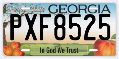 GA license plate PXF8525