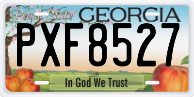 GA license plate PXF8527
