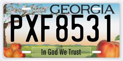 GA license plate PXF8531