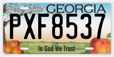 GA license plate PXF8537
