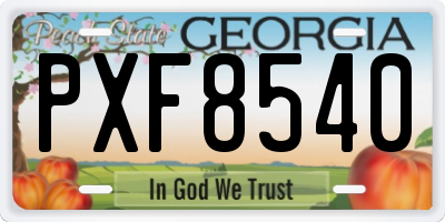 GA license plate PXF8540
