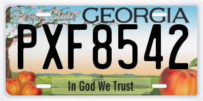 GA license plate PXF8542