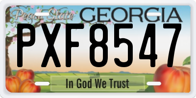 GA license plate PXF8547