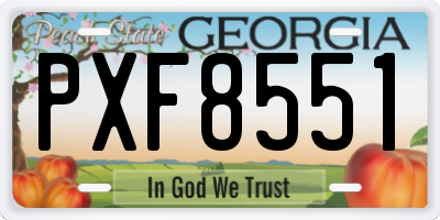 GA license plate PXF8551
