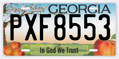 GA license plate PXF8553