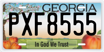 GA license plate PXF8555