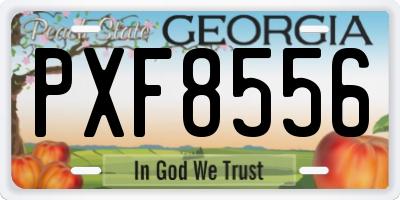 GA license plate PXF8556