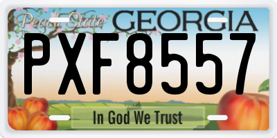 GA license plate PXF8557