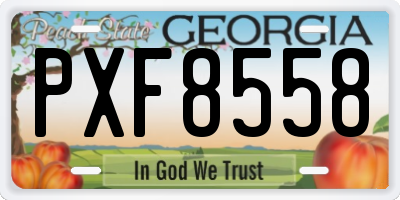 GA license plate PXF8558