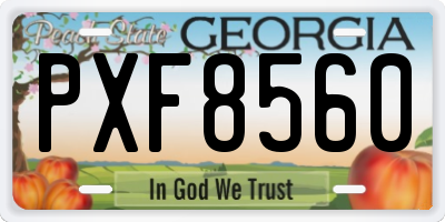 GA license plate PXF8560