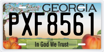 GA license plate PXF8561