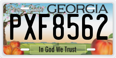 GA license plate PXF8562