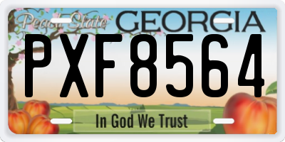 GA license plate PXF8564