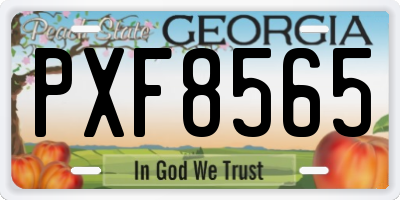 GA license plate PXF8565
