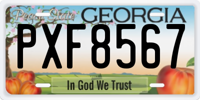 GA license plate PXF8567